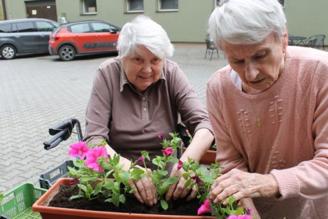 Vysazování truhlíků 11.5.2023