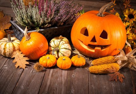 Přípravy na halloweenskou slavnost v plném proudu!