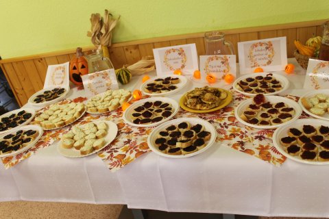 Podzimní odpoledne v DS a DZR Buchlovice