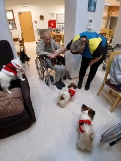 vánoční canisterapie