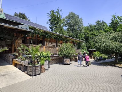 Fotografie 19