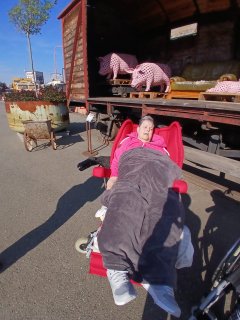 Fotografie 5